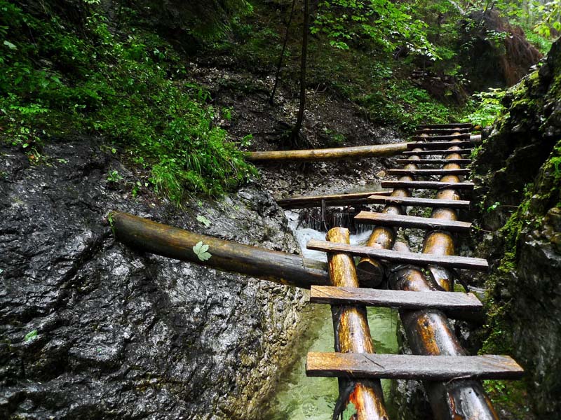 ako-sa-cepor-do-raja-dostal