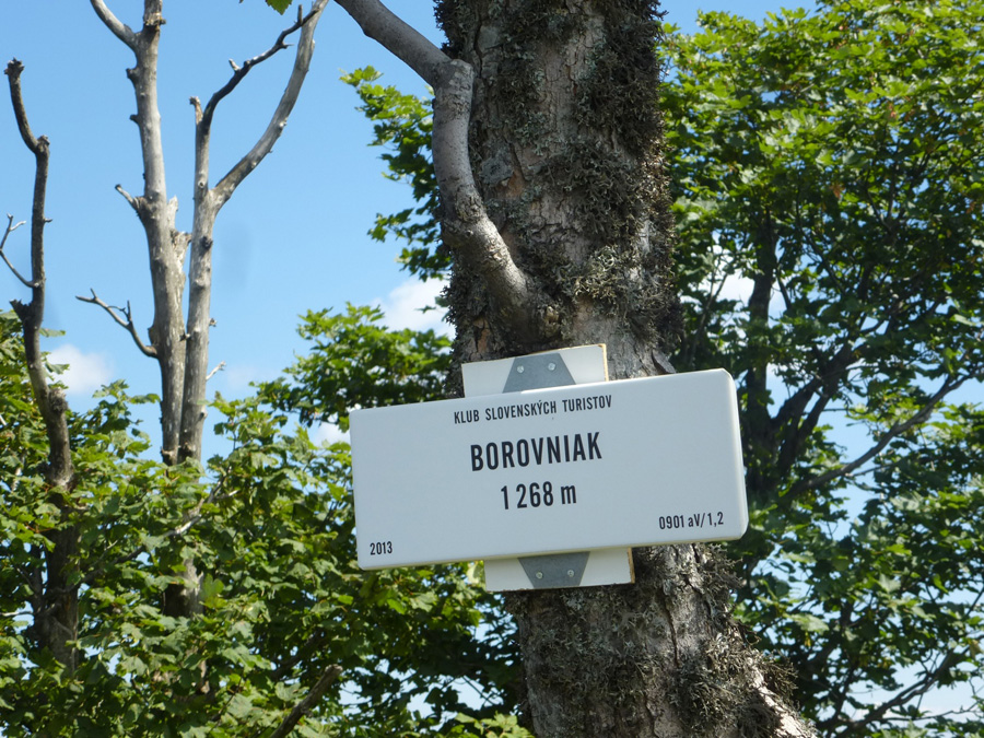 na-ondrejisko-po-znackovanom-chodniku